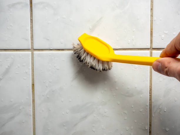 Best Emergency Mold Removal  in Walls, MS