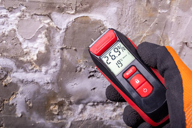 Best Mold Testing  in Walls, MS