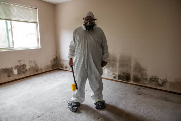 Best Professional Mold Removal  in Walls, MS
